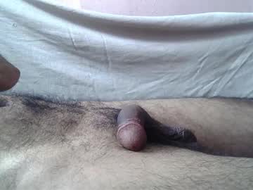  live show
