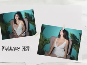  live show