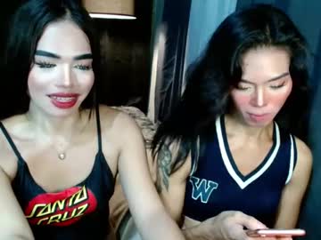  live show