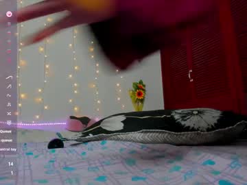  live show