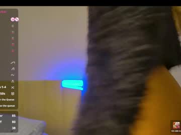  live show