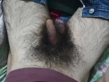  live show