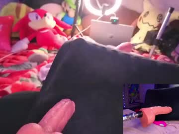  live show