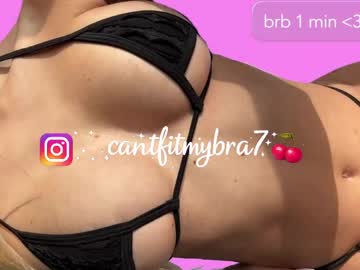  live show