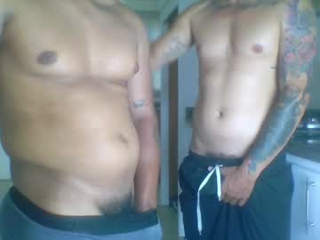  live show