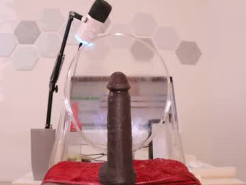  live show