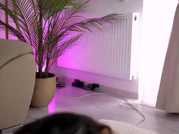  live show