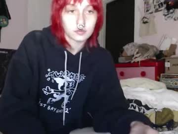  live show