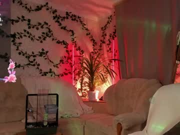 forest_lina live show