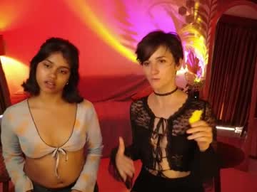  live show