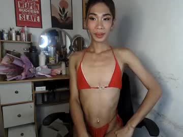  live show