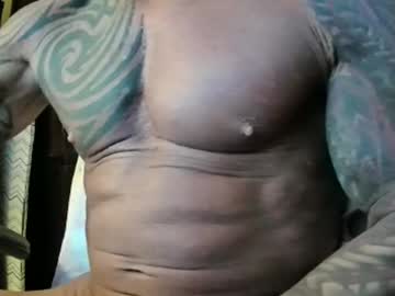  live show