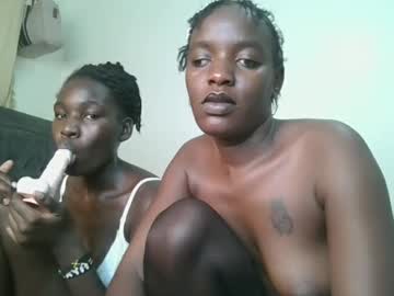  live show