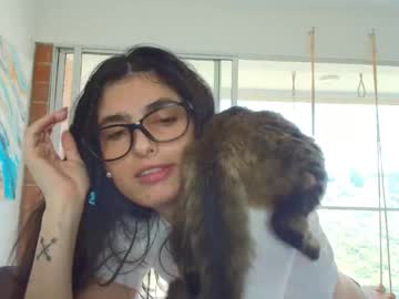  live show