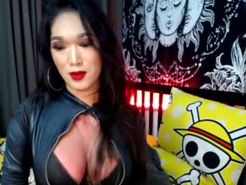  live show