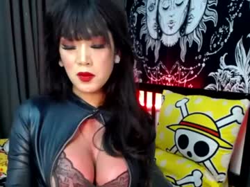  live show