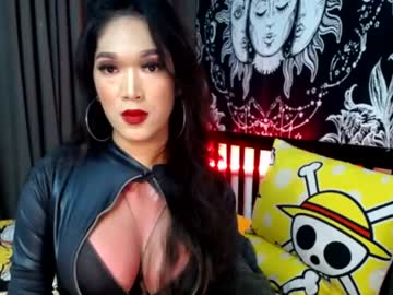  live show