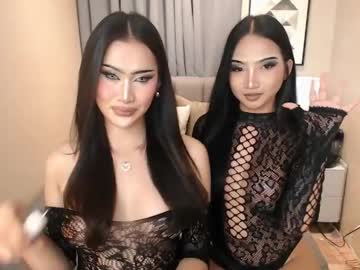  live show