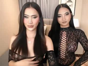  live show