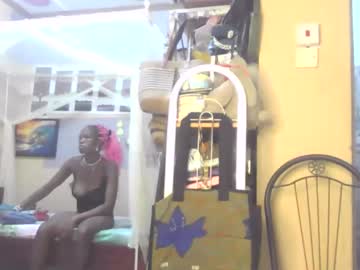  live show