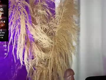  live show