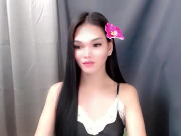  live show
