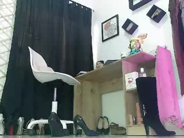  live show