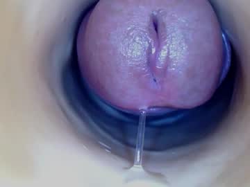  live show