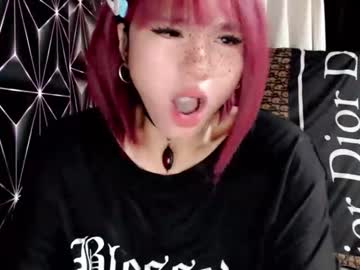  live show