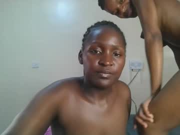  live show