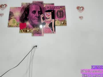  live show
