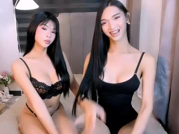  live show