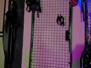  live show