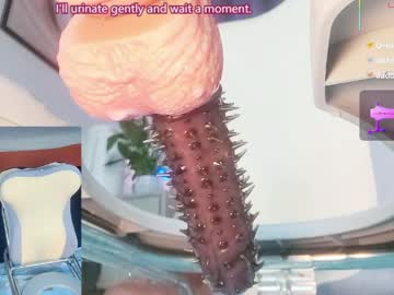  live show